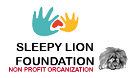 Sleepy Lion Foundation - Nonprofit Organization