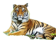 Nebraska School for the Deaf Alumni Association